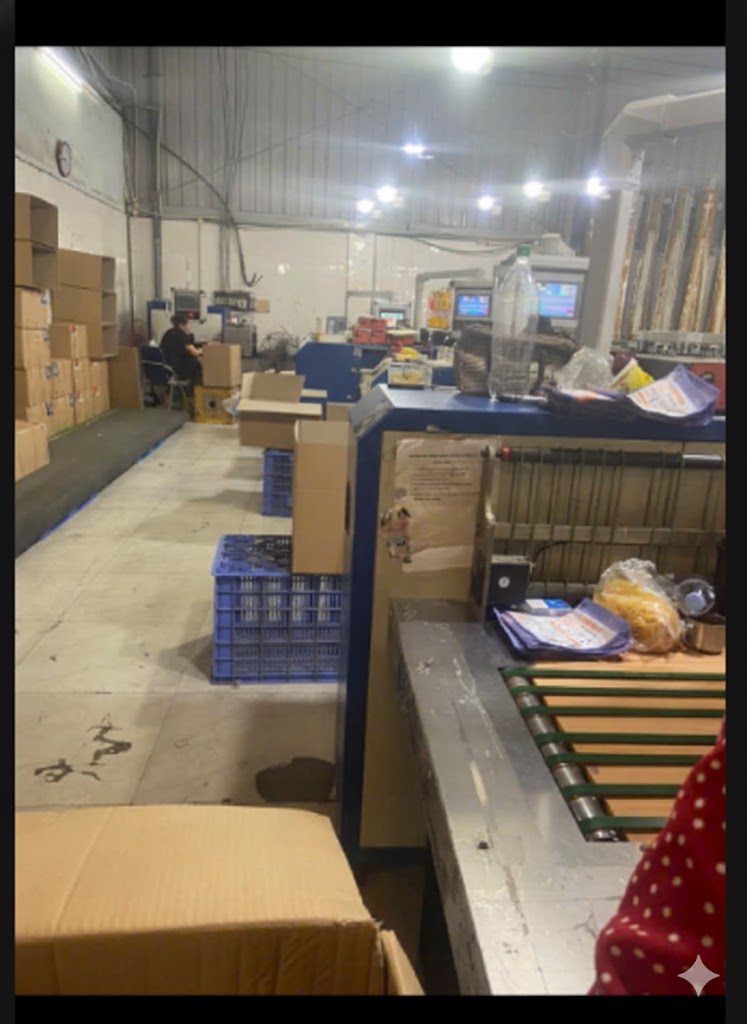 Dây chuyền sản xuất hiện đại